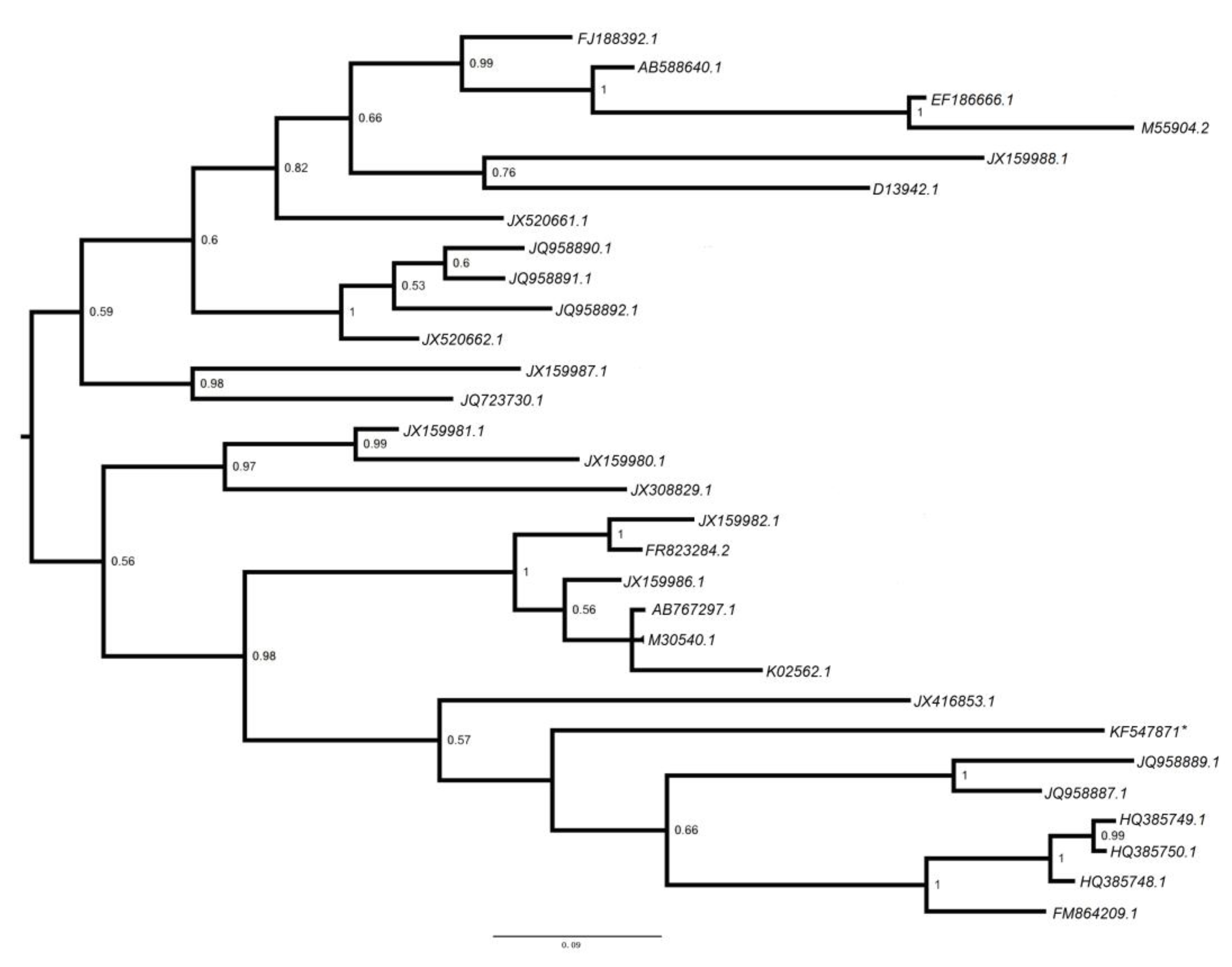 Viruses 06 02138 g004