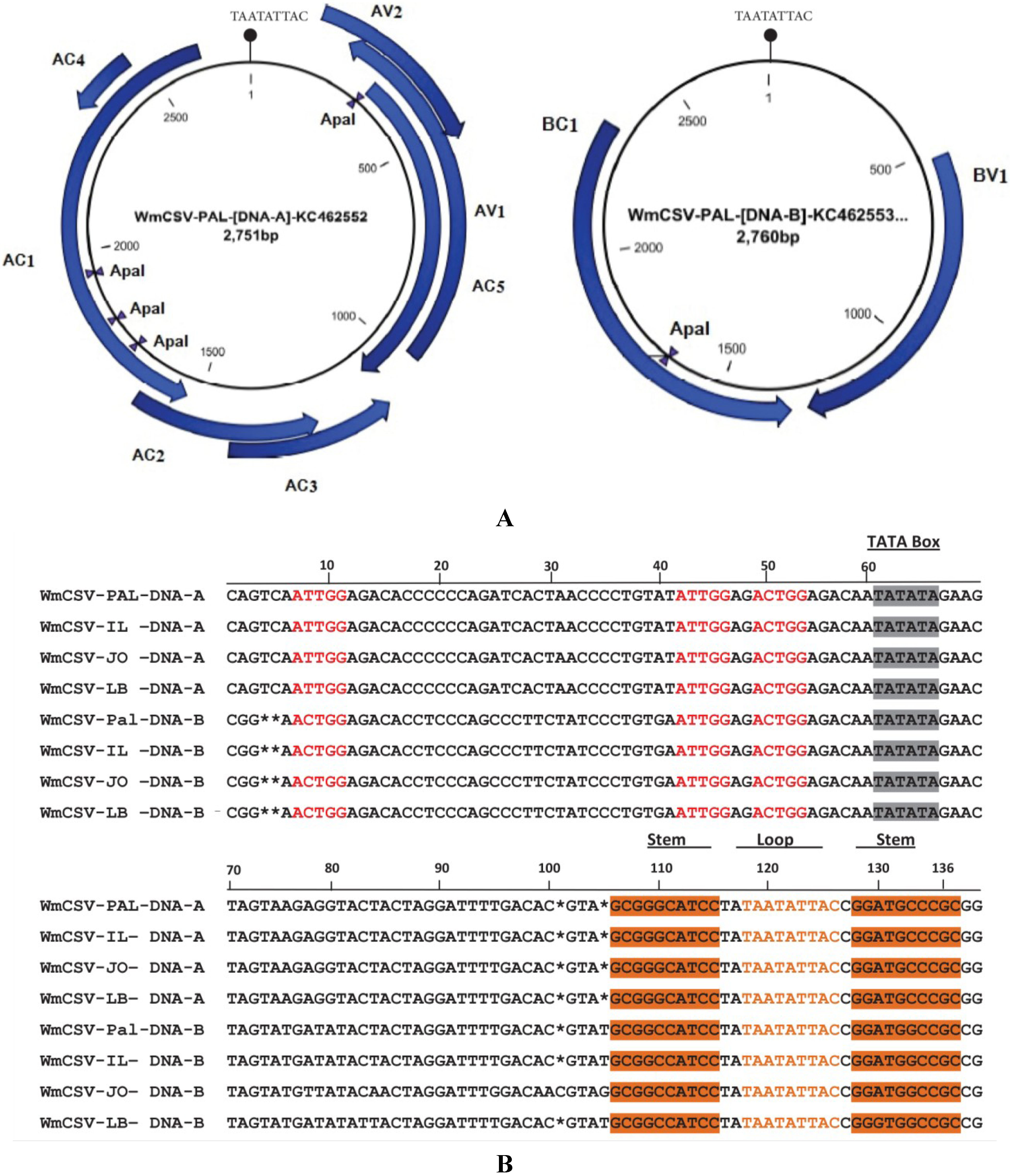 Viruses 06 02444 g003