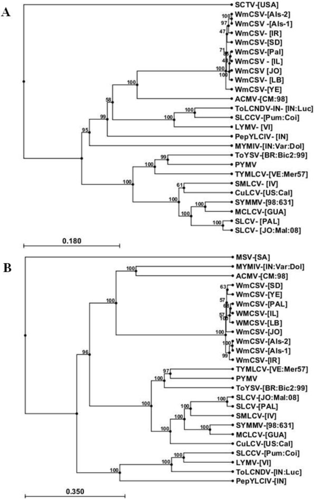 Viruses 06 02444 g004 1024