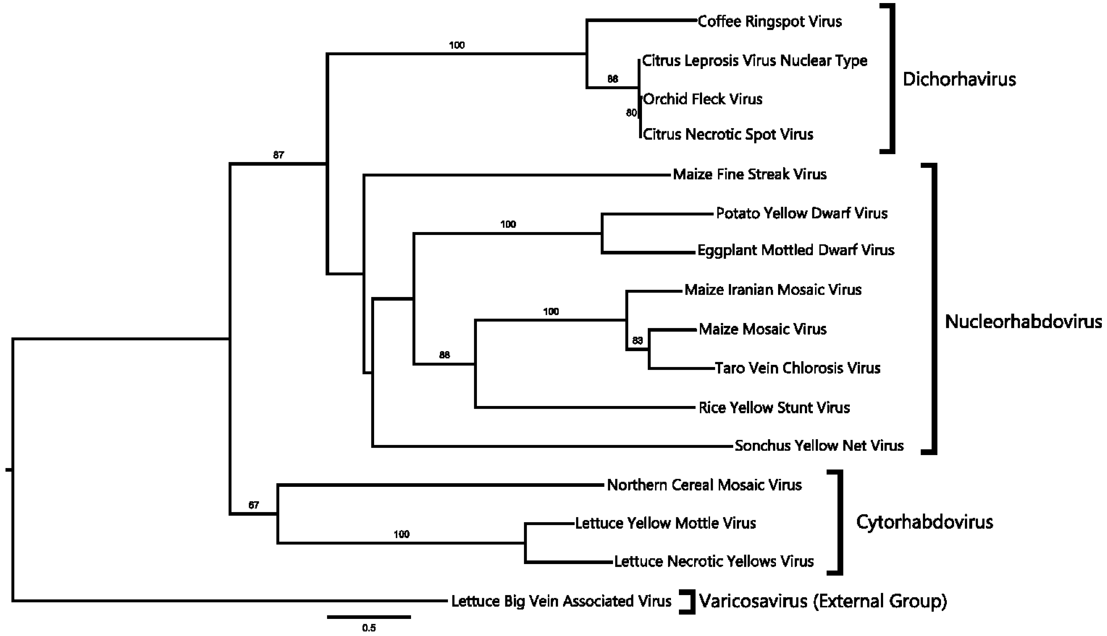 Viruses 06 02602 g003