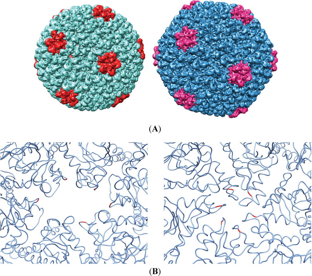 Viruses 06 02708 g001 1024