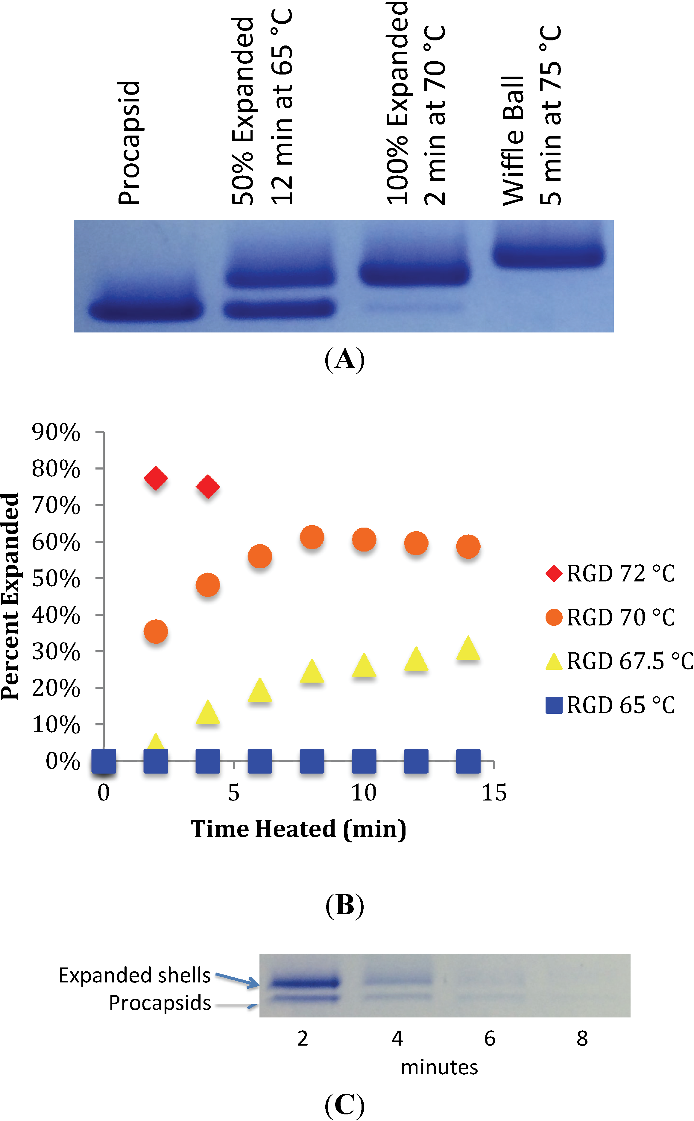 Viruses 06 02708 g002