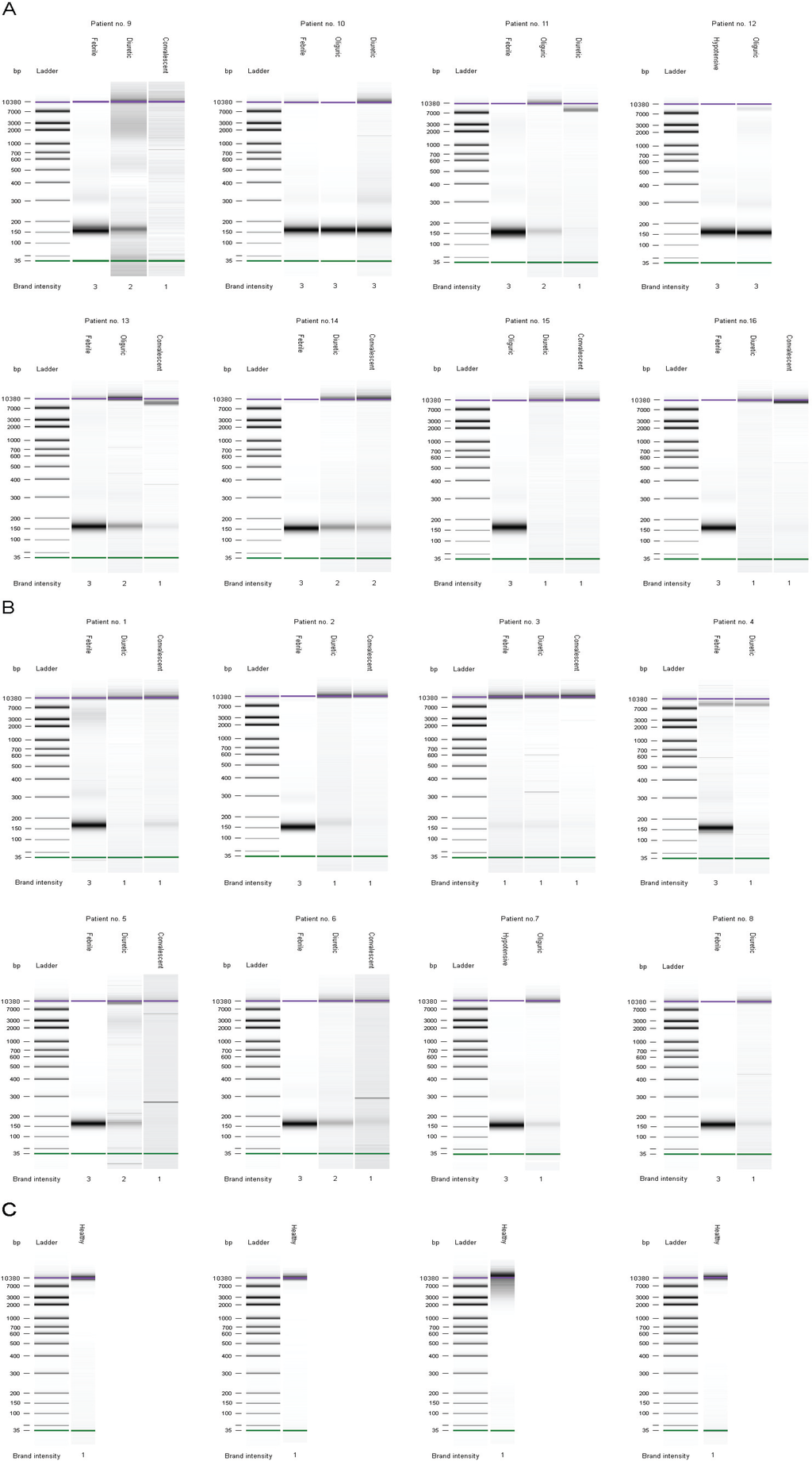 Viruses 06 02723 g003 1024