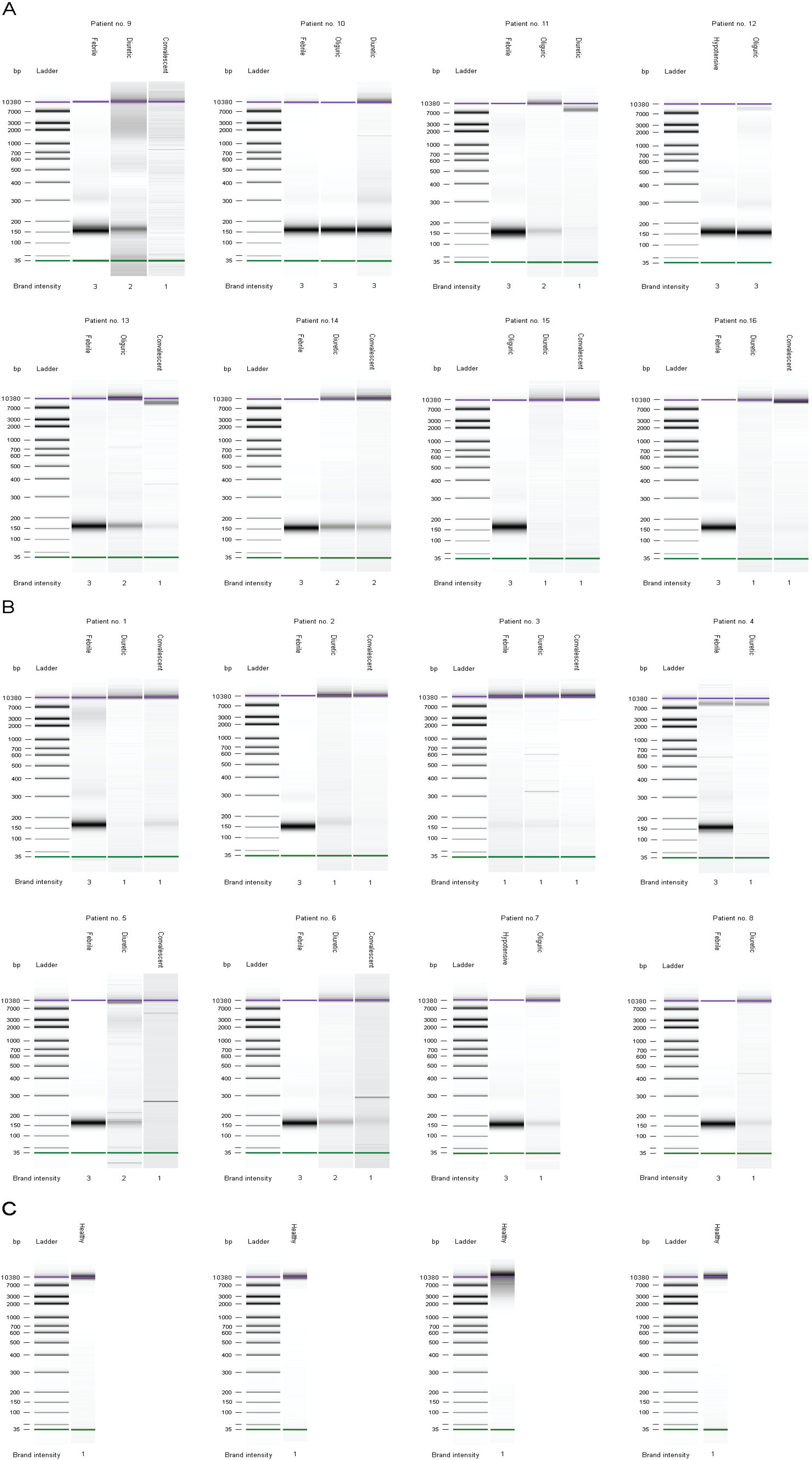 Viruses 06 02723 g003