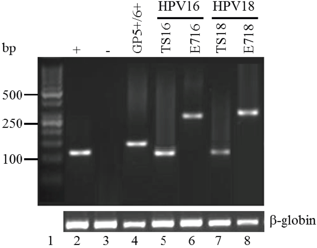 Viruses 06 02762 g001 1024