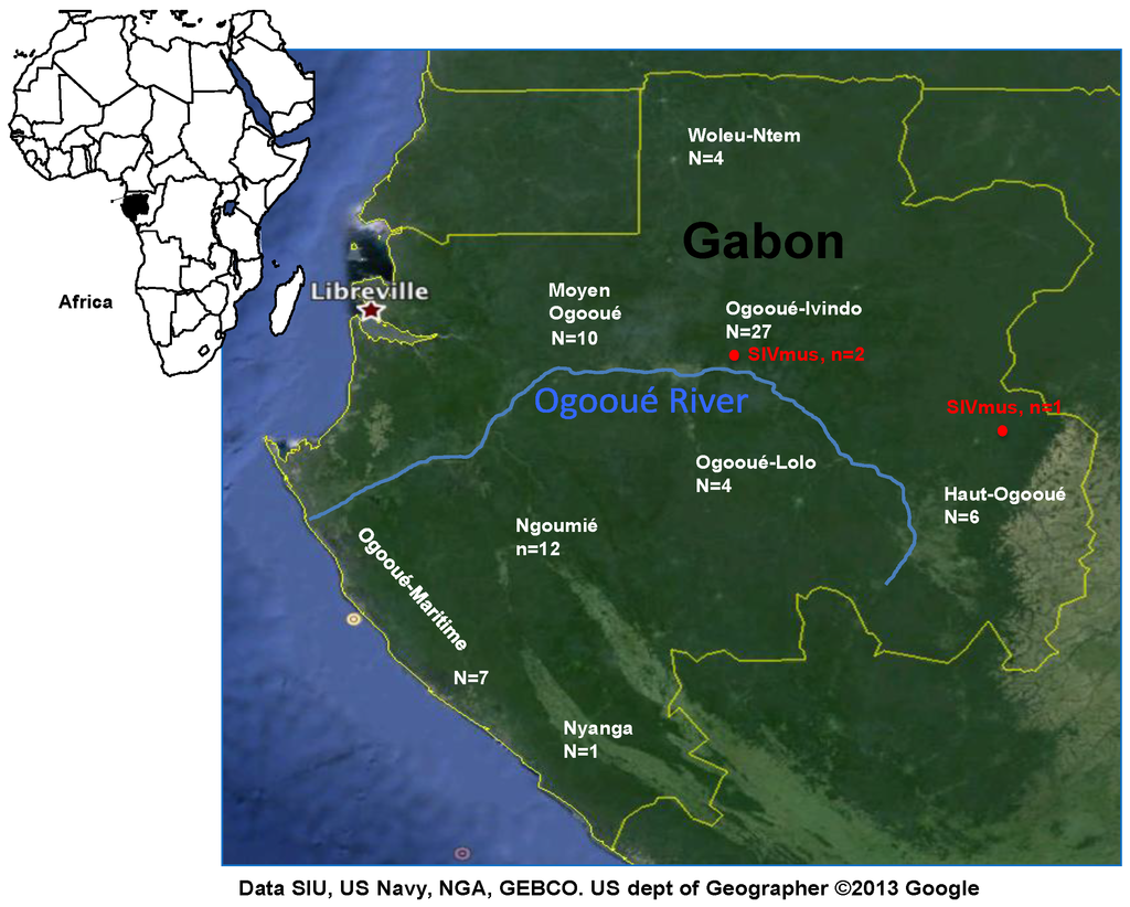 Viruses 06 02880 g001 1024