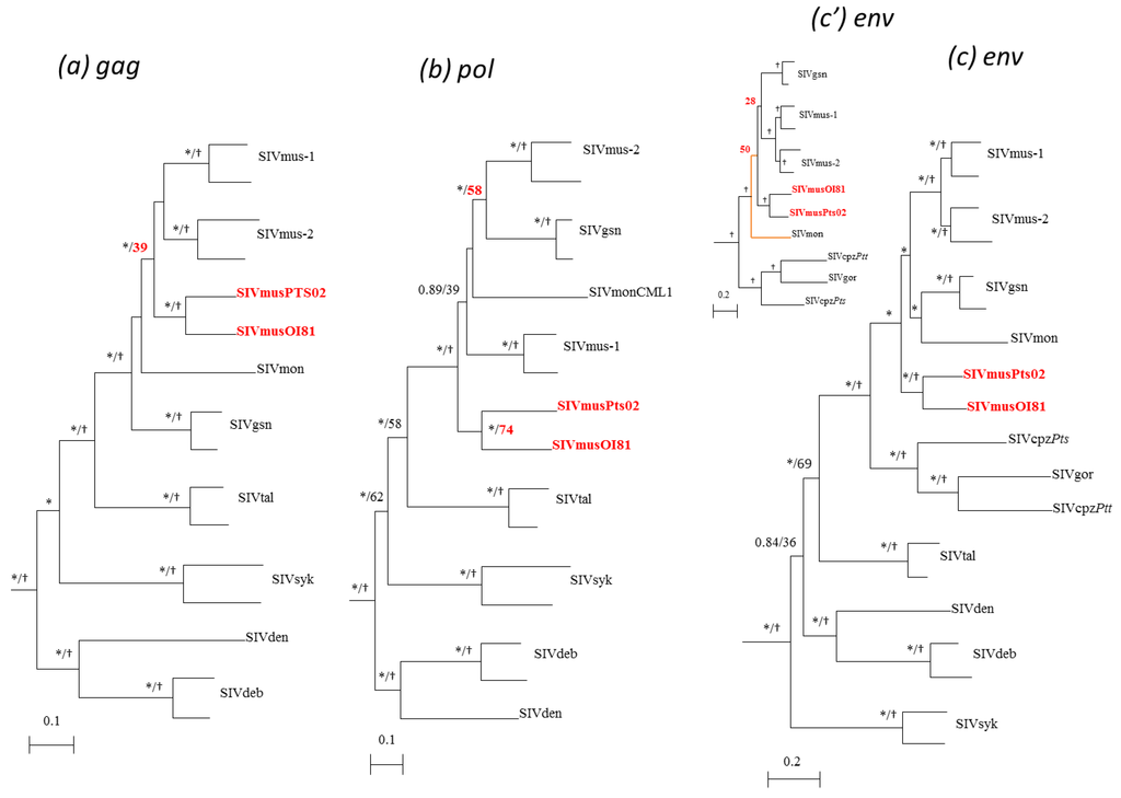 Viruses 06 02880 g003 1024