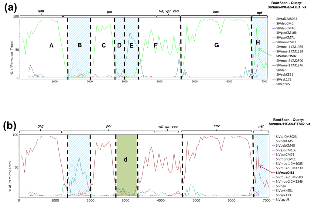 Viruses 06 02880 g005 1024