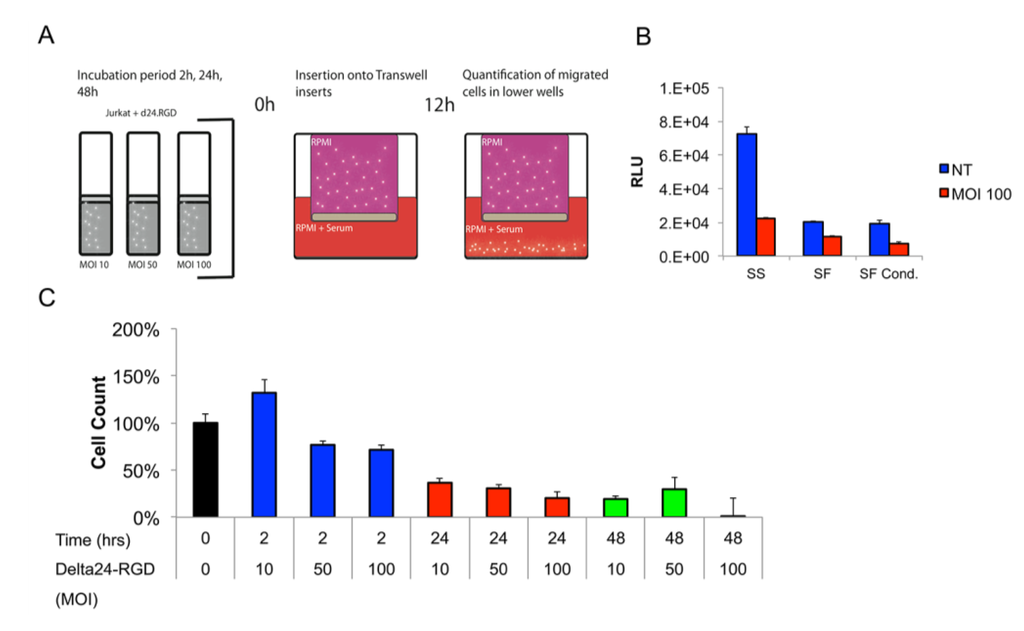 Viruses 06 03080 g003 1024