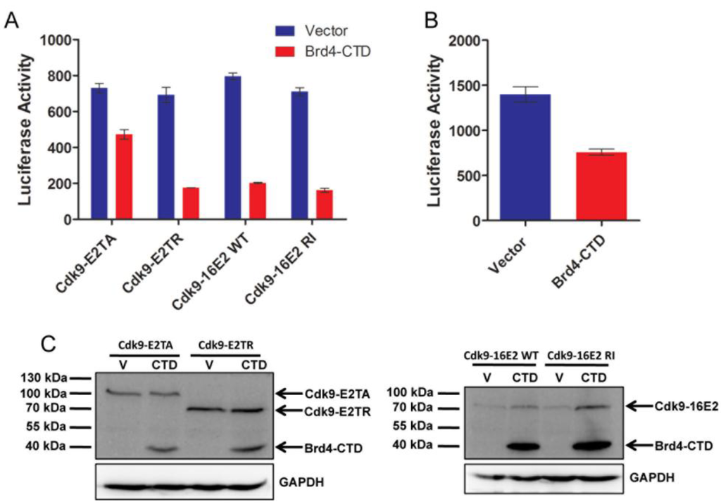 Viruses 06 03228 g003 1024