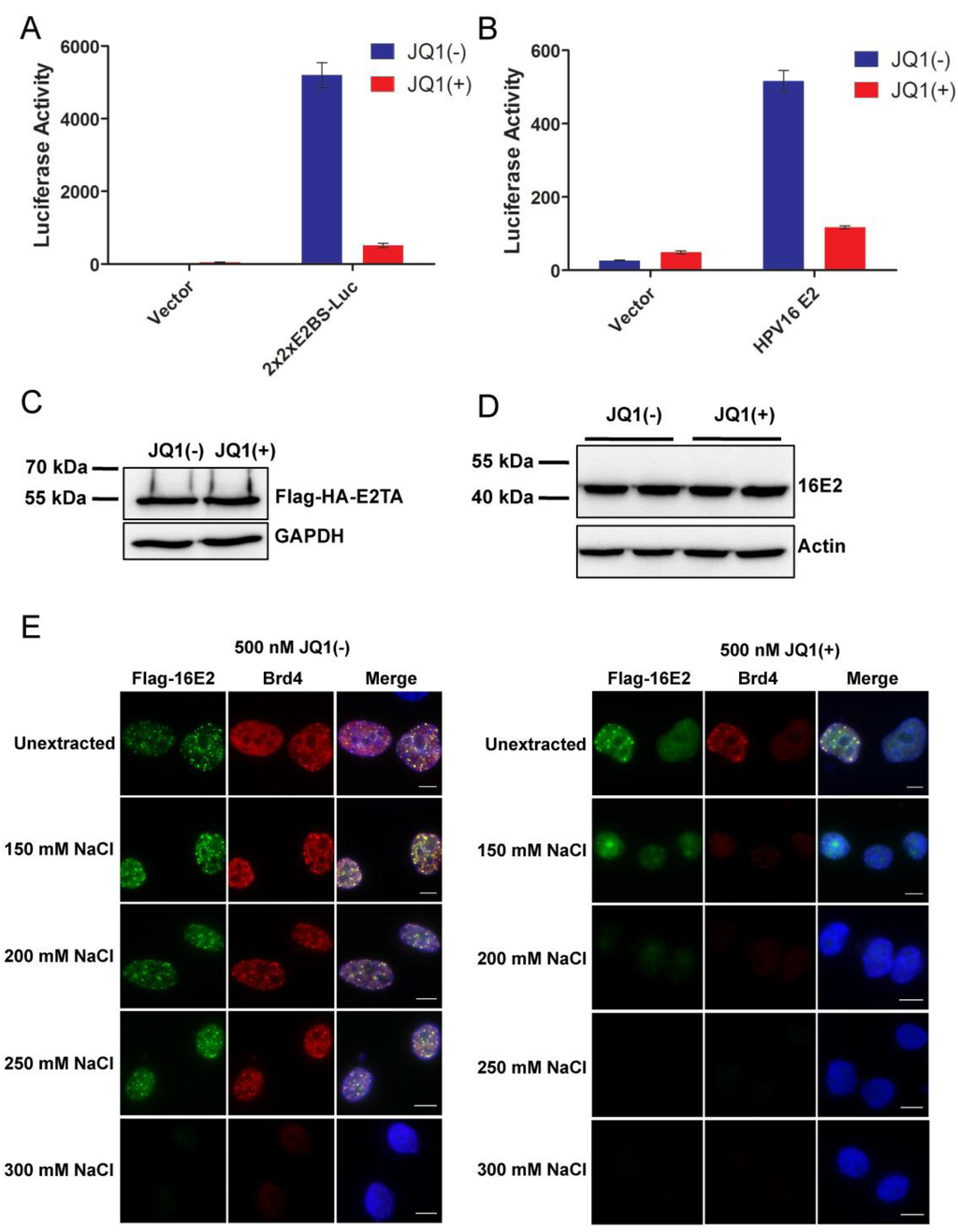 Viruses 06 03228 g004 1024