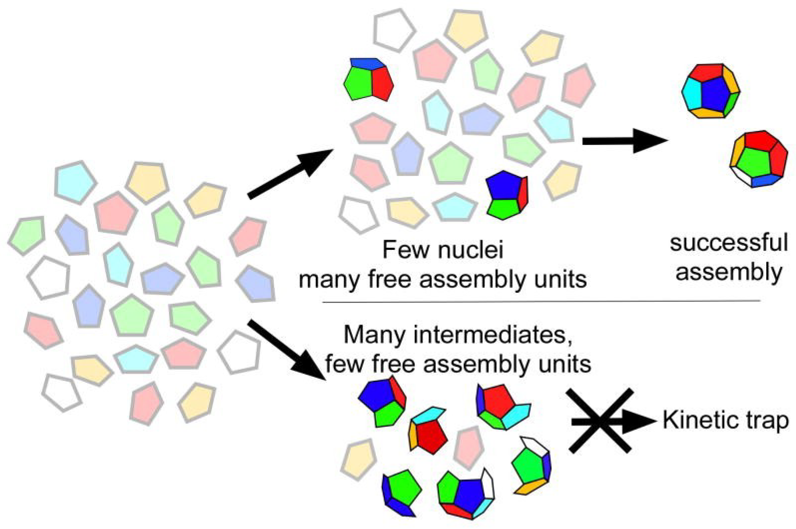 Viruses 06 03348 g002