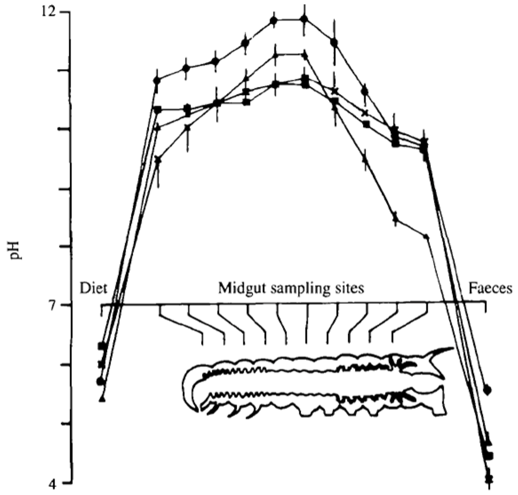 Viruses 06 03348 g004 1024