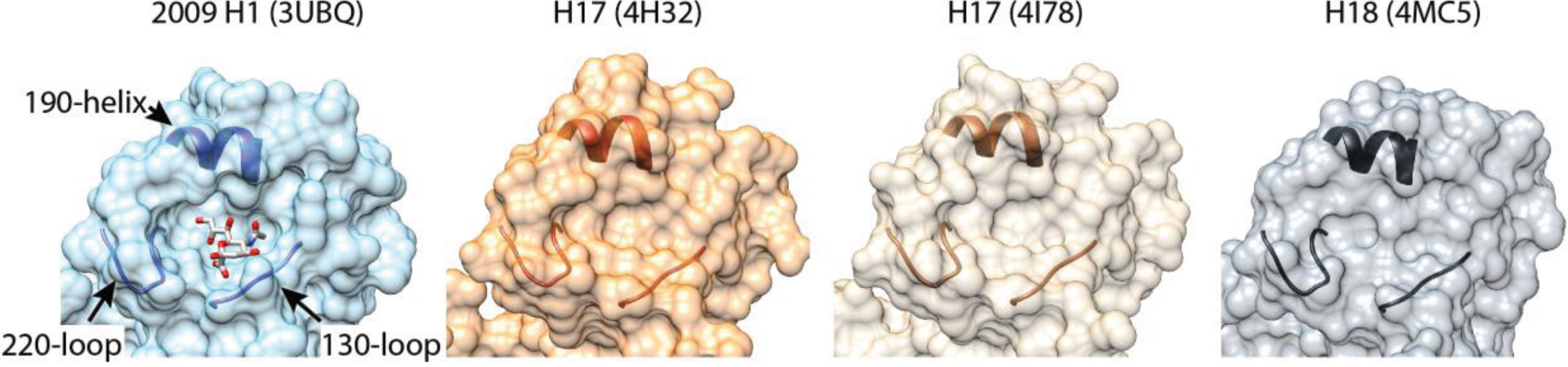 Viruses 06 03438 g001
