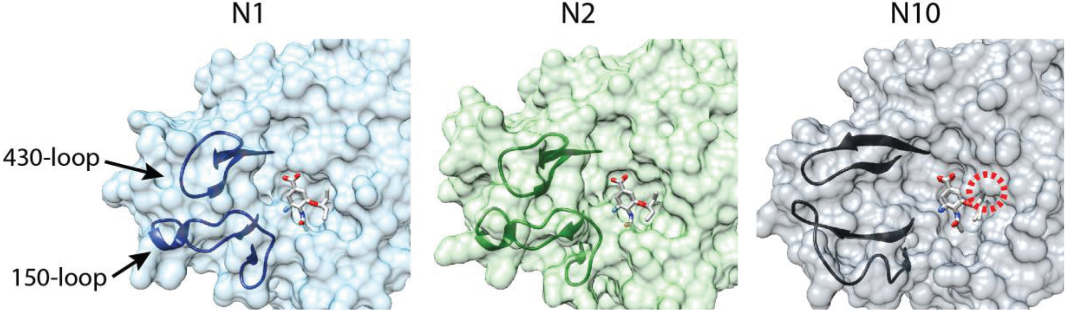 Viruses 06 03438 g002