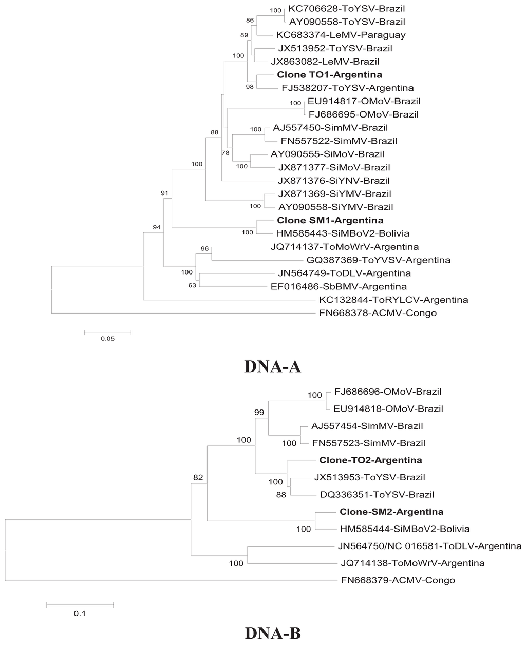 Viruses 06 03450 g002 1024
