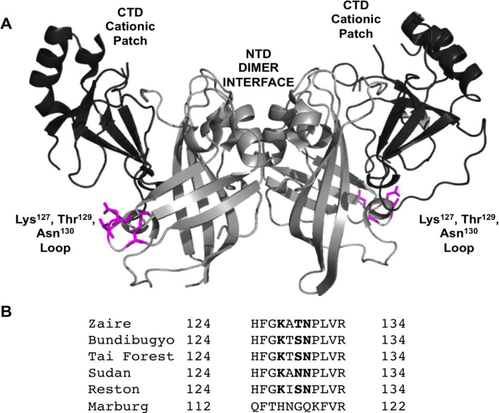 Viruses 06 03837 g001 1024