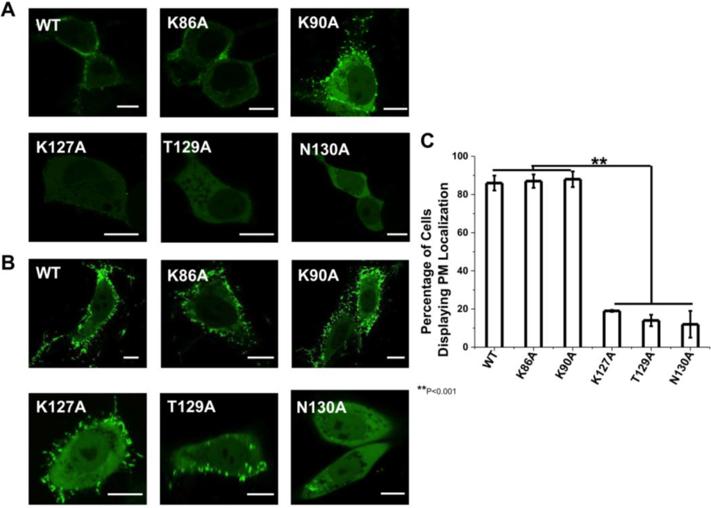 Viruses 06 03837 g002 1024