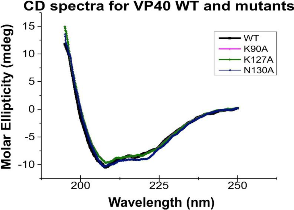 Viruses 06 03837 g003 1024