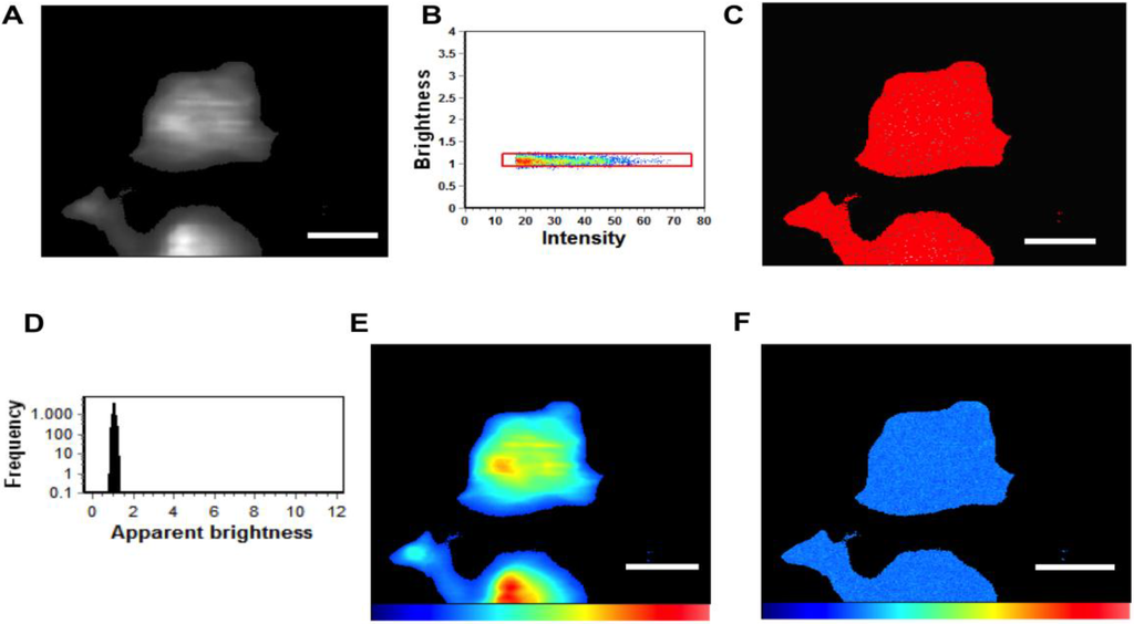 Viruses 06 03837 g004 1024