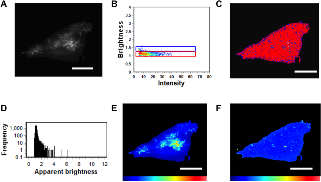 Viruses 06 03837 g006 1024