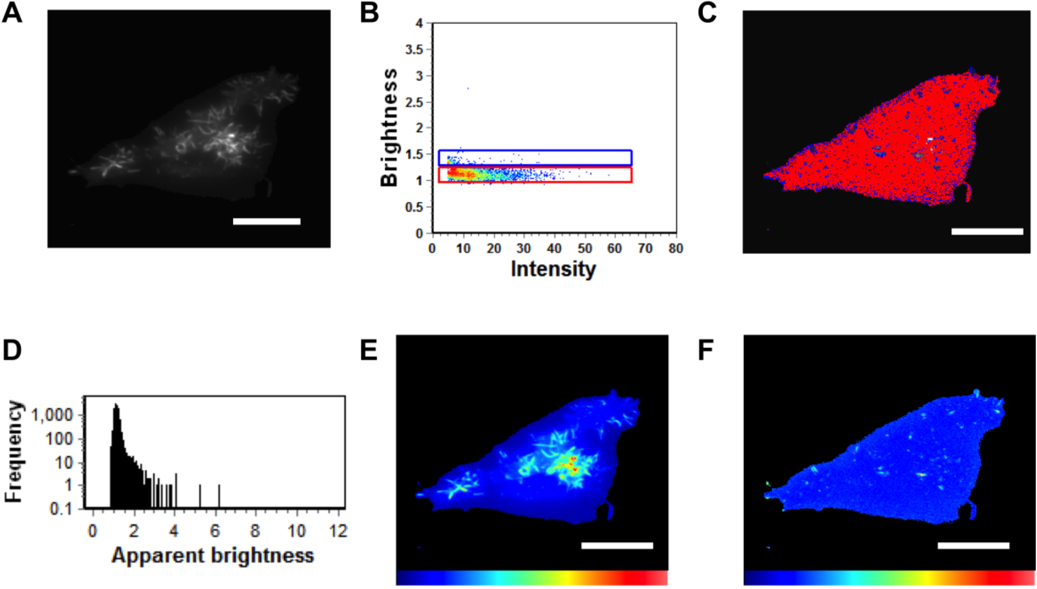 Viruses 06 03837 g006