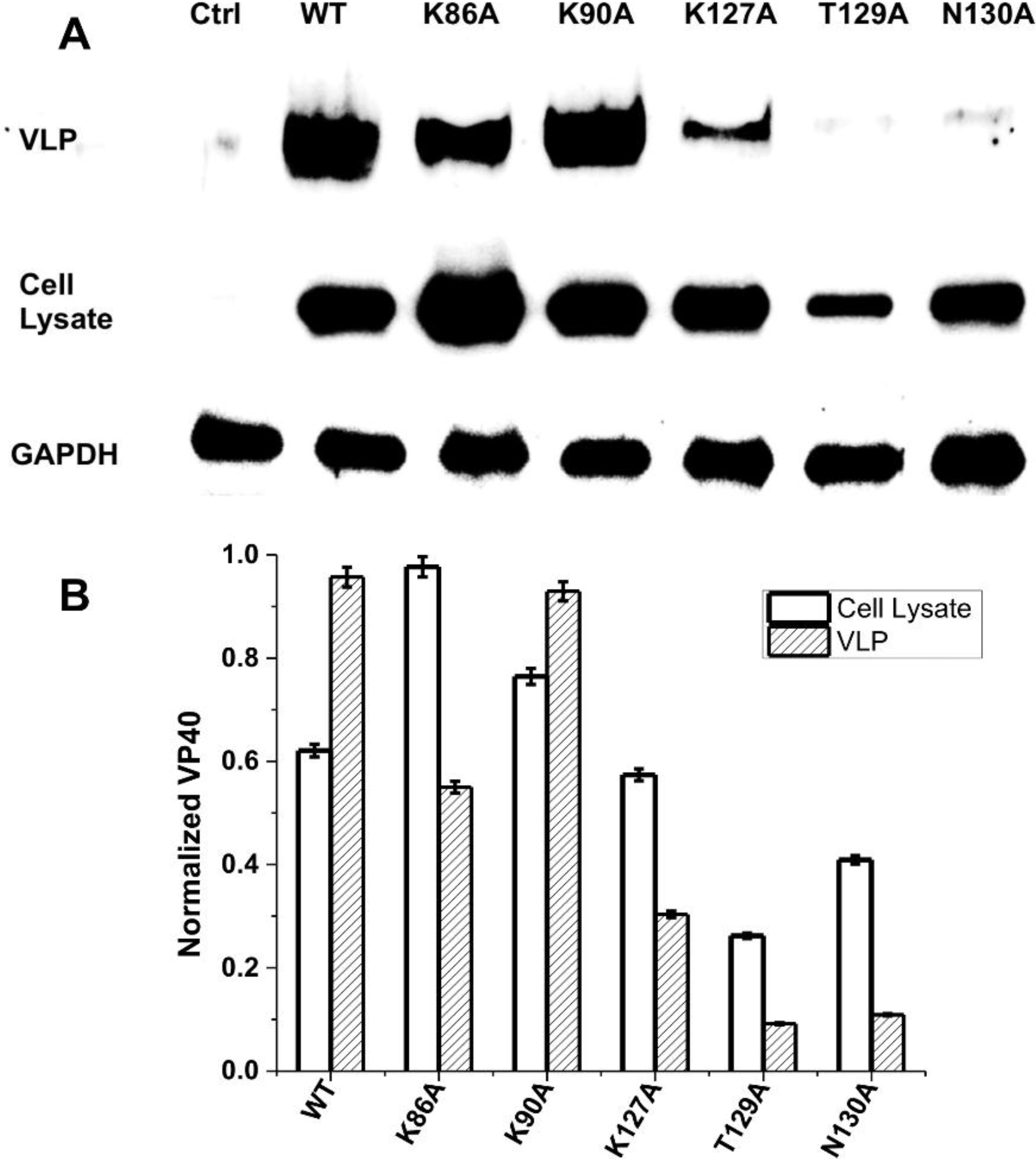 Viruses 06 03837 g008