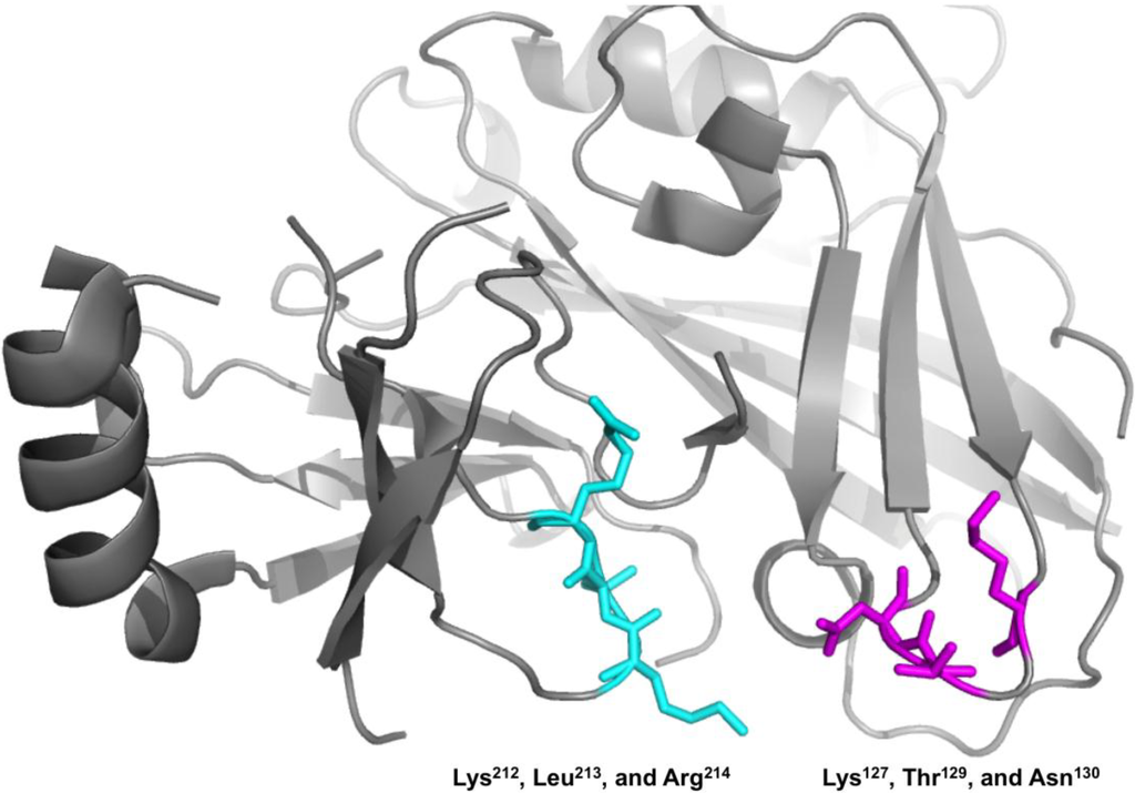 Viruses 06 03837 g009 1024