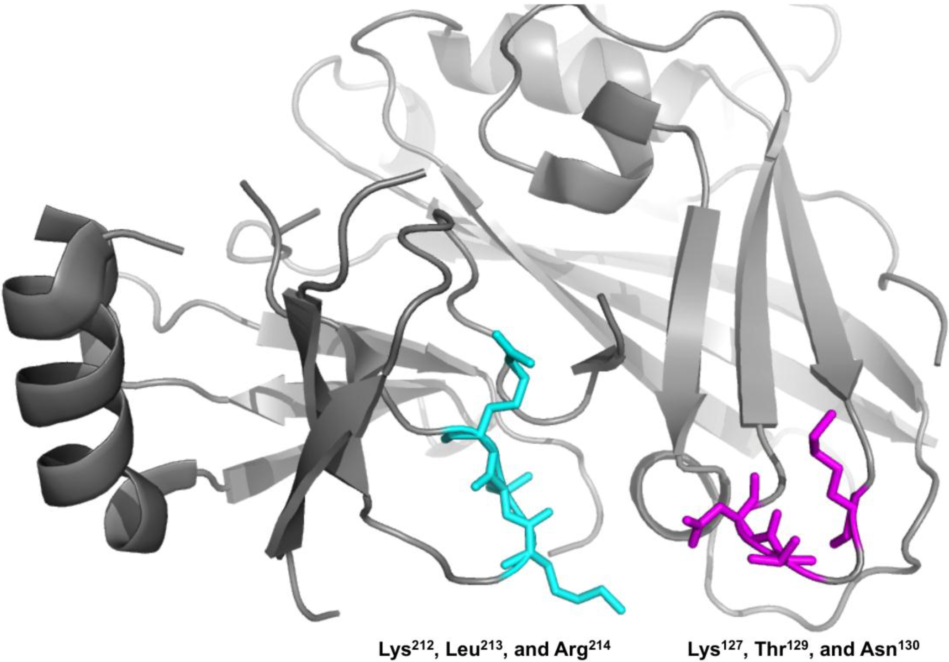 Viruses 06 03837 g009