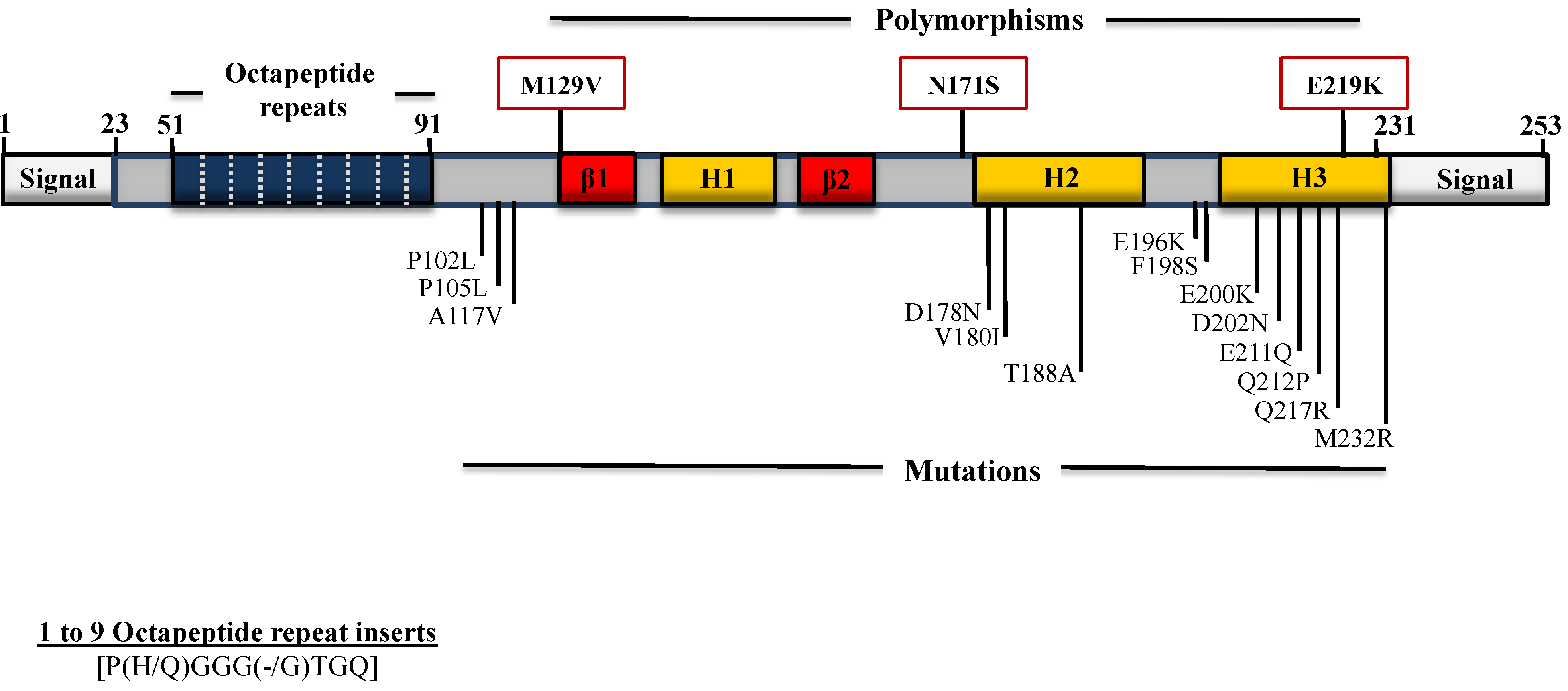 Viruses 06 03875 g001