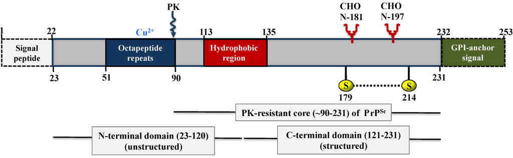 Viruses 06 03875 g002 1024