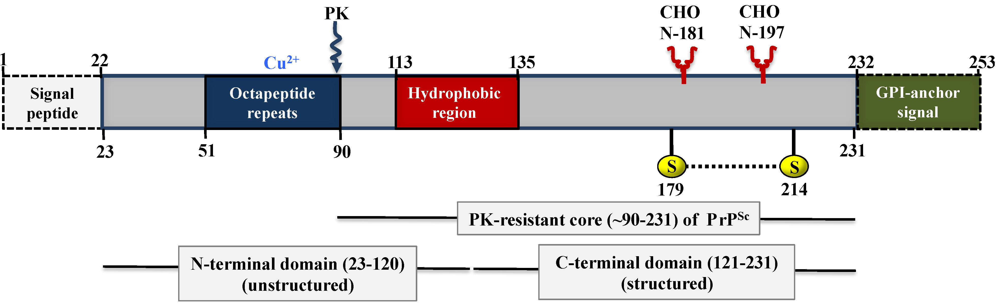 Viruses 06 03875 g002