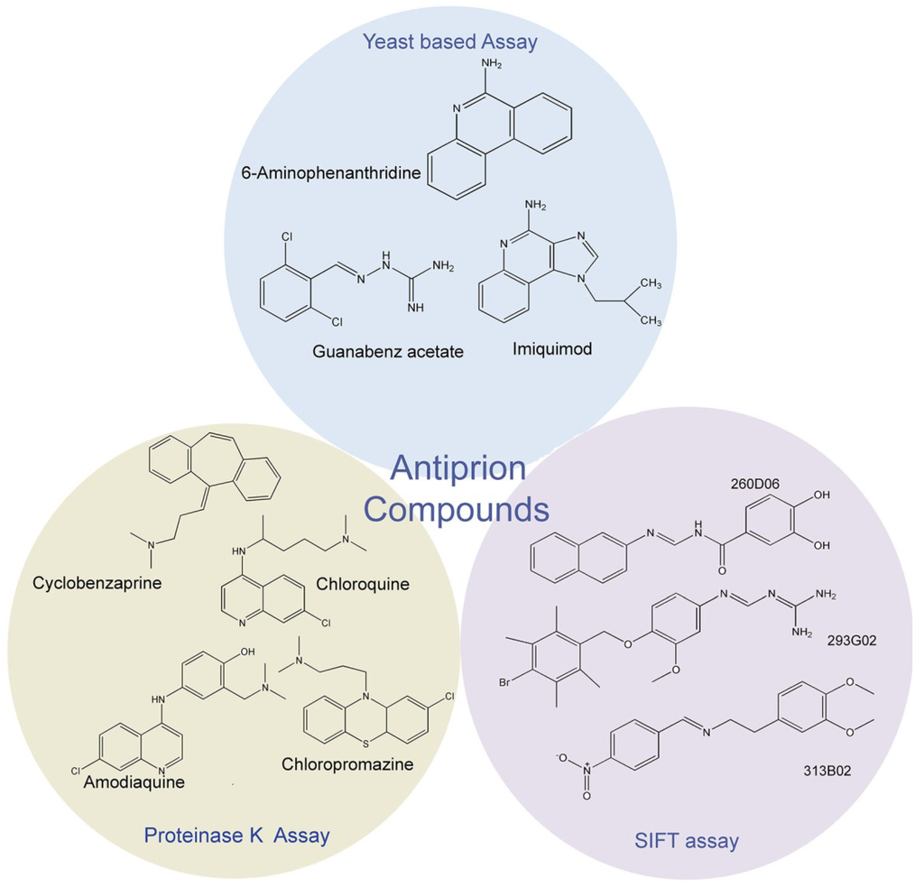 Viruses 06 03907 g001 1024