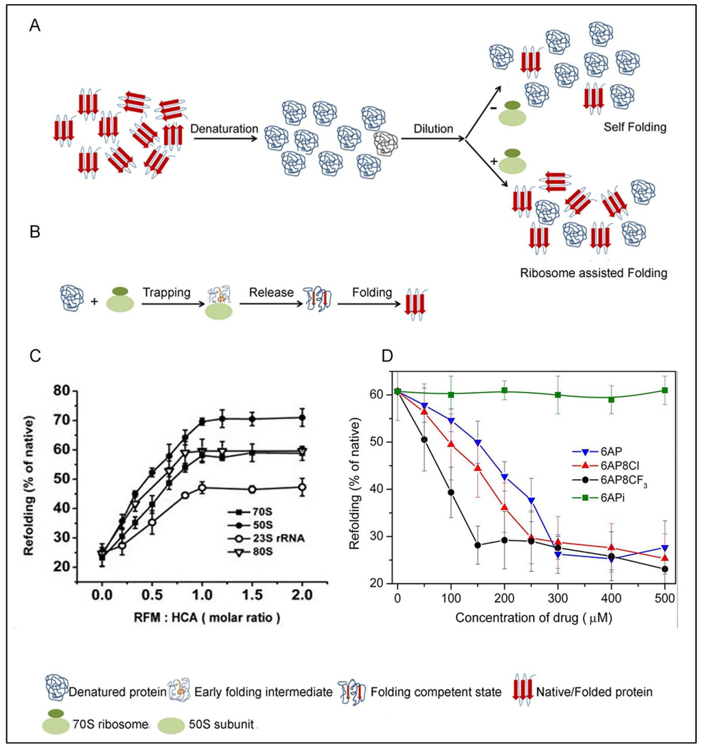 Viruses 06 03907 g003 1024