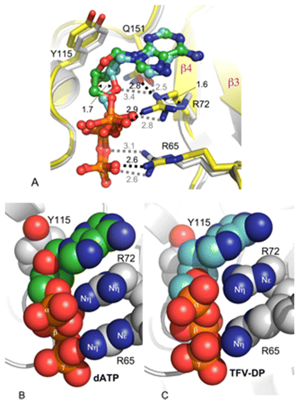 Viruses 06 04080 g001 1024