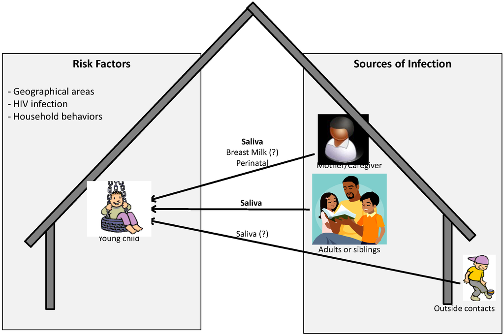 Viruses 06 04178 g001 1024