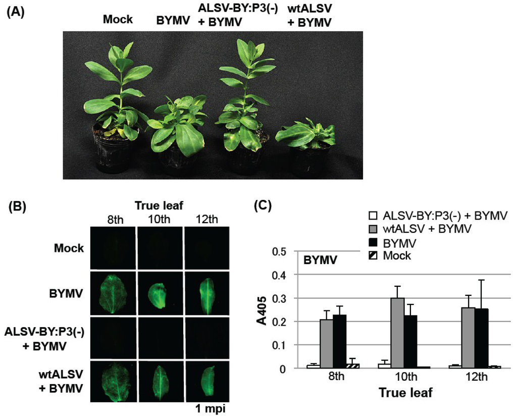 Viruses 06 04242 g004 1024