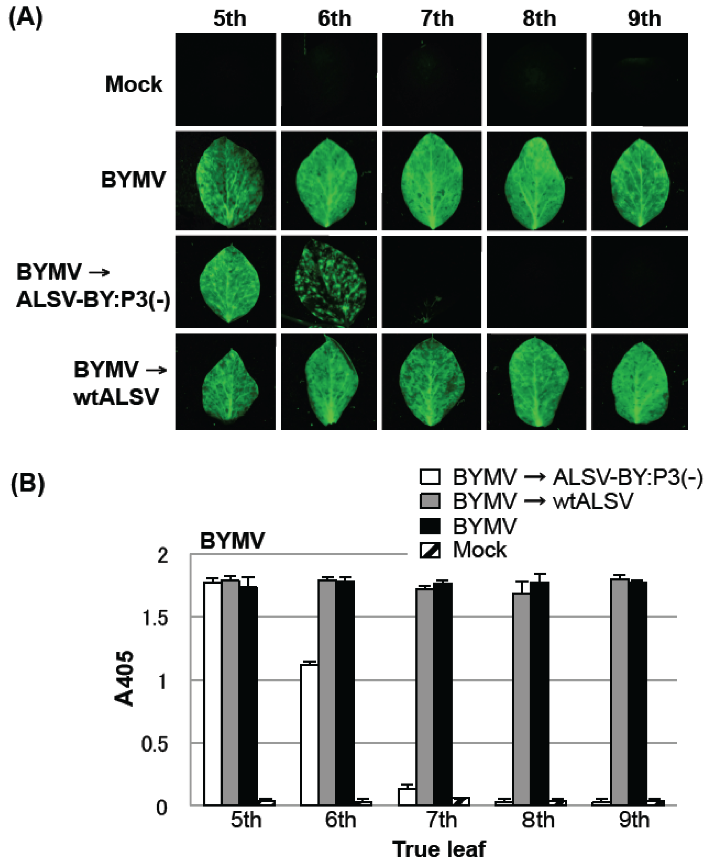 Viruses 06 04242 g005