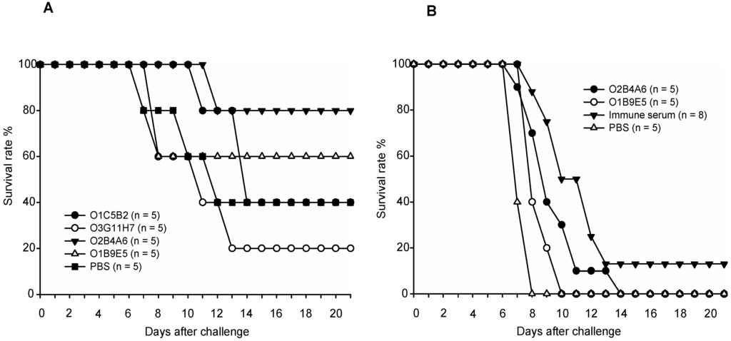 Viruses 06 04358 g003 1024