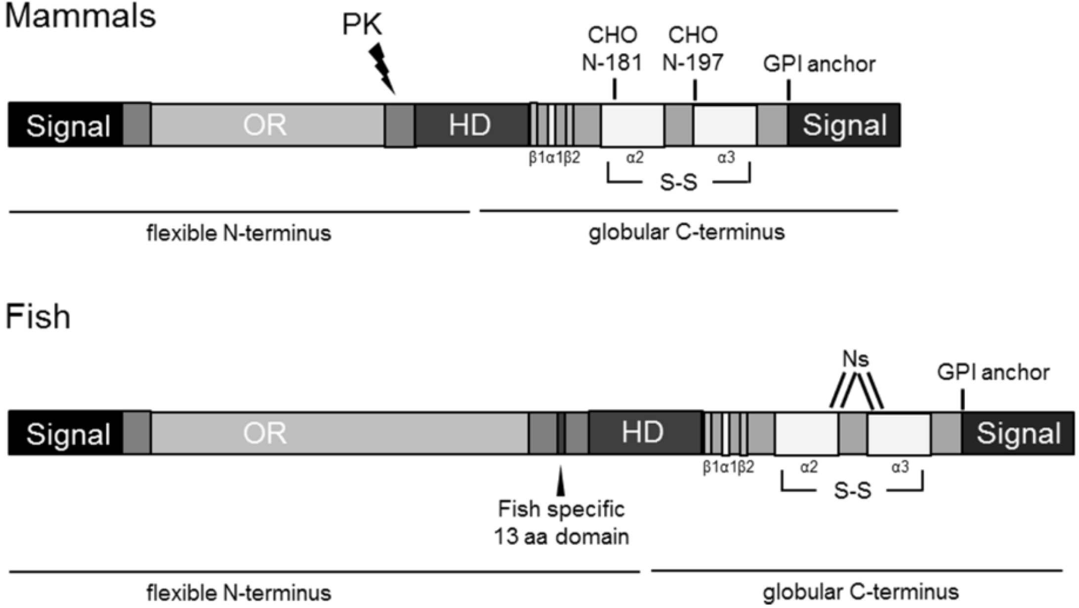 Viruses 06 04398 g001