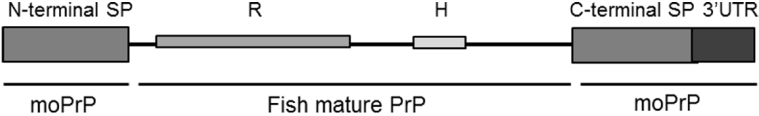 Viruses 06 04398 g002