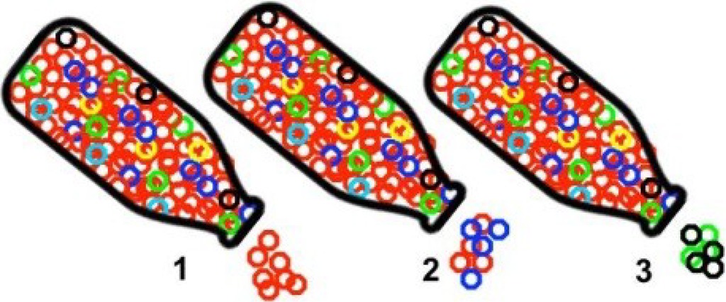 Viruses 06 04422 g001 550