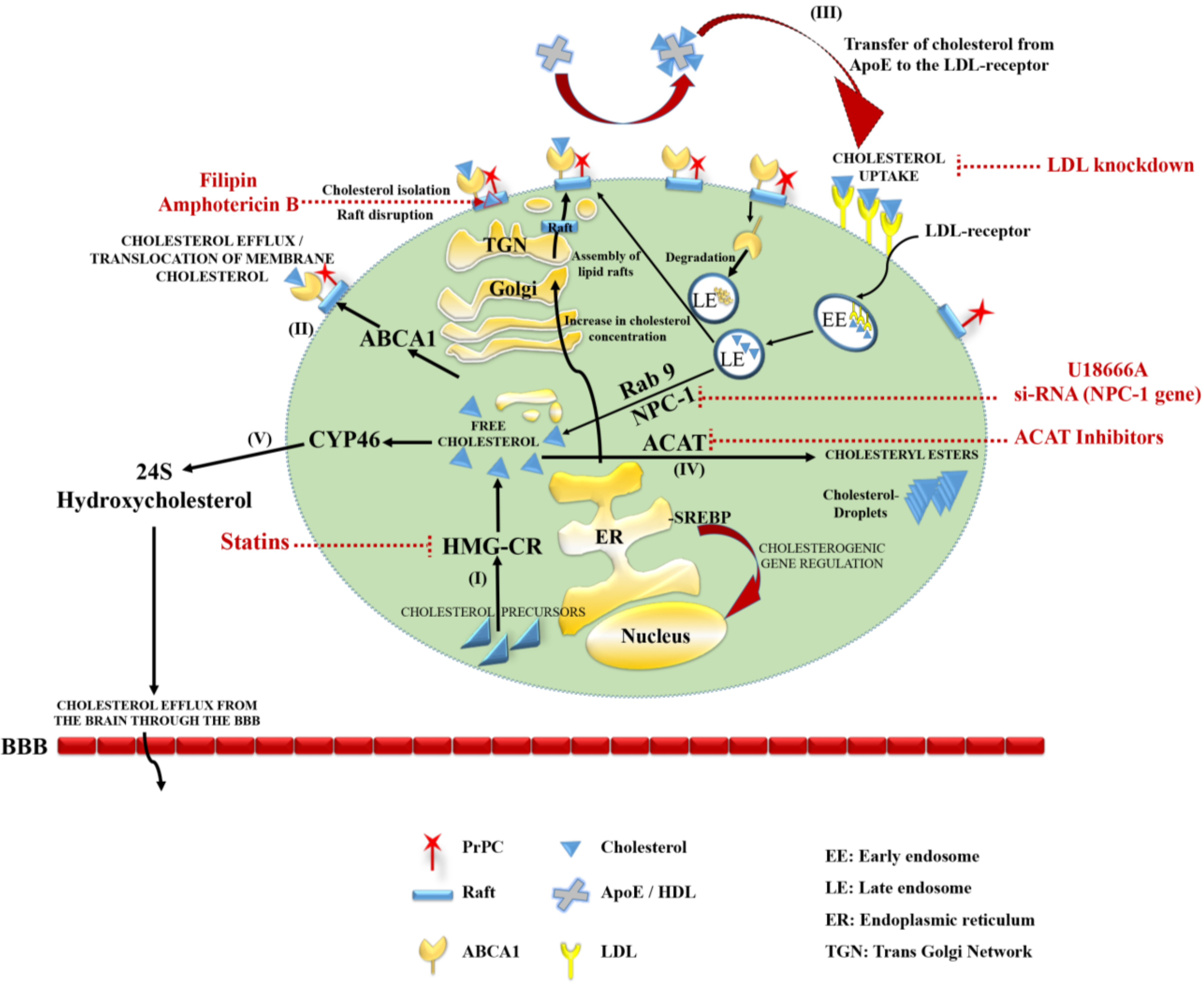 Viruses 06 04505 g001