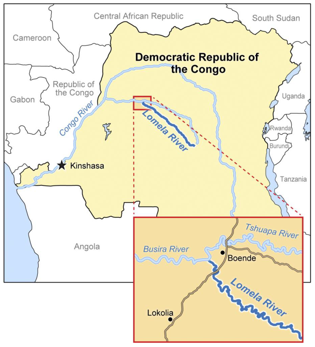 Viruses 06 04760 g002 1024