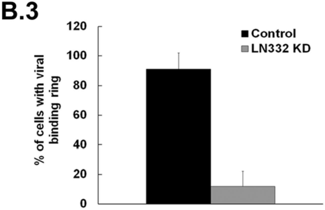 Viruses 06 04856 g002b