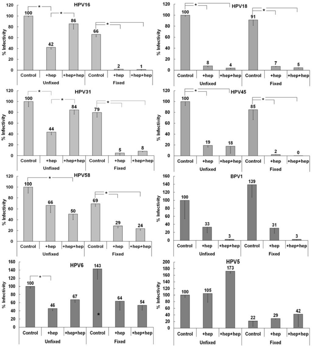 Viruses 06 04856 g003 1024