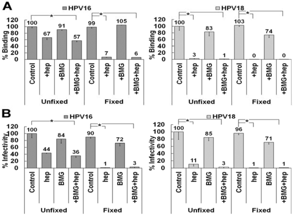 Viruses 06 04856 g006 1024
