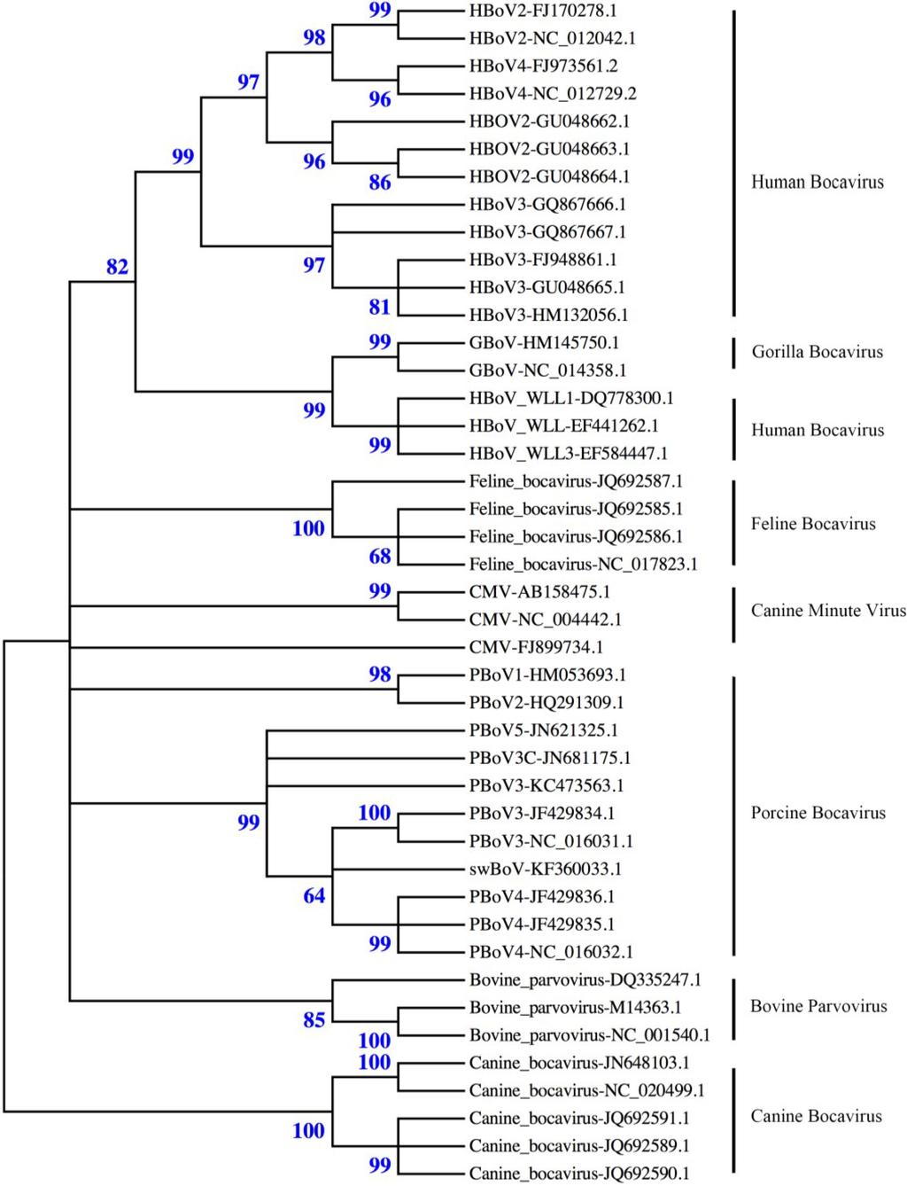 Viruses 06 04946 g001 1024