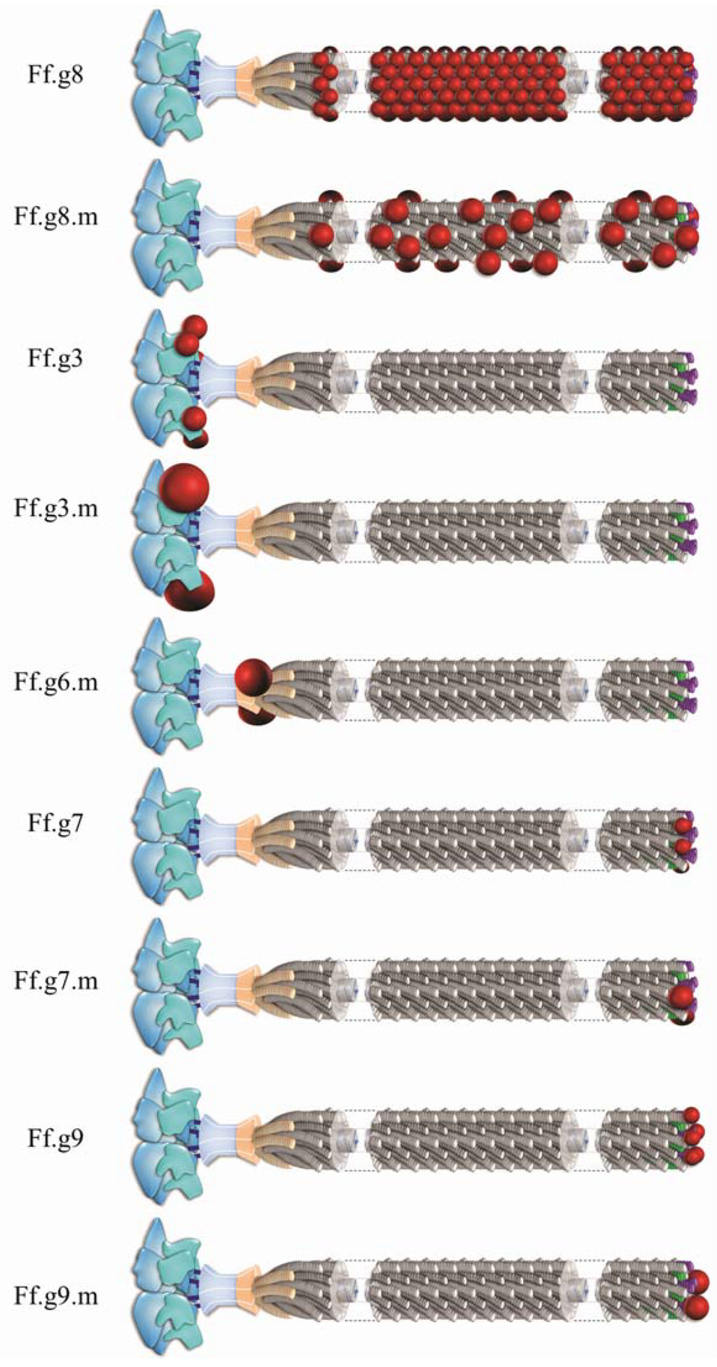Viruses 06 05047 g002 1024