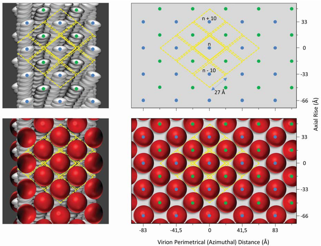 Viruses 06 05047 g003 1024
